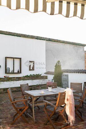 Kígyó, Mohács képe