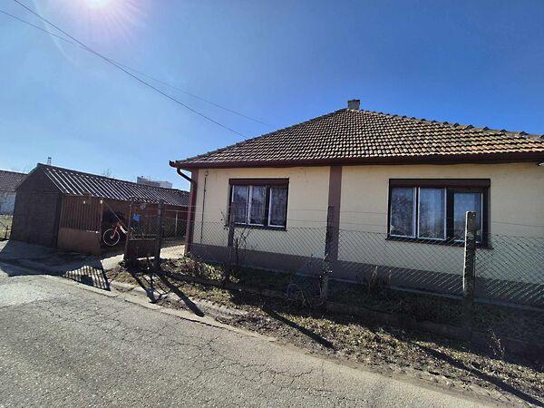 Kárász, Kiskunhalas képe