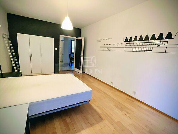 Sárkány, Budapest, VIII. kerület 3. képe