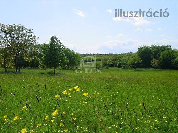 Árpád, Pátka 2. képe