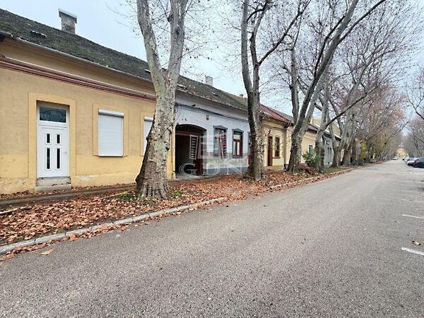 Gyömölcs, Székesfehérvár 3. képe