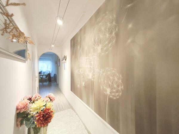 Csendes, Zalaegerszeg képe