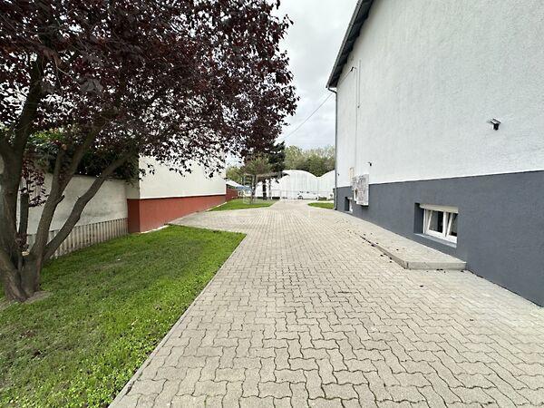 Őrhalom, Székesfehérvár 2. képe