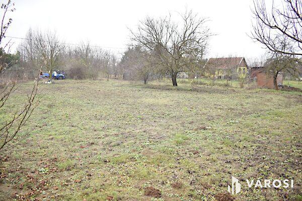 Gyula, Gyula 2. képe