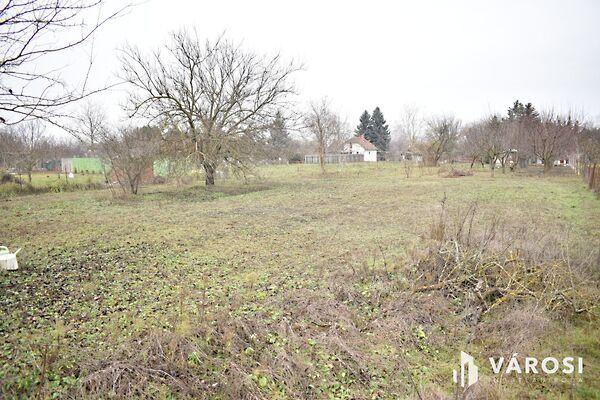 Gyula, Gyula 3. képe