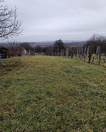 Lukácsháza 2. képe