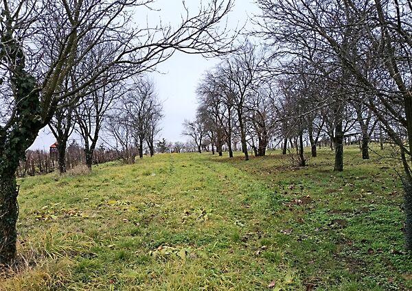 Gyöngyösfalu 2. képe