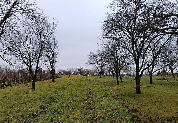 Gyöngyösfalu 3. képe