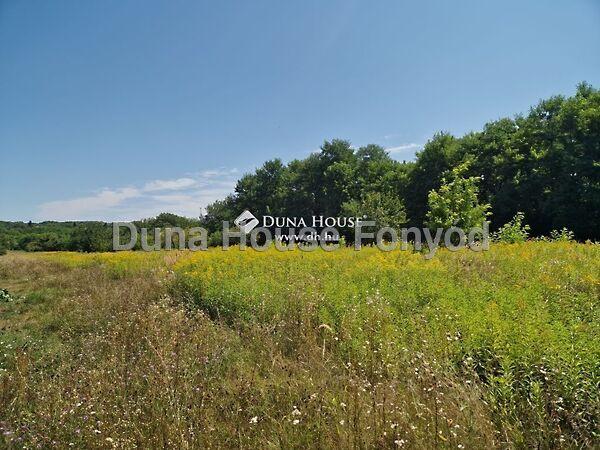 Ady Endre, Balatonberény 3. képe