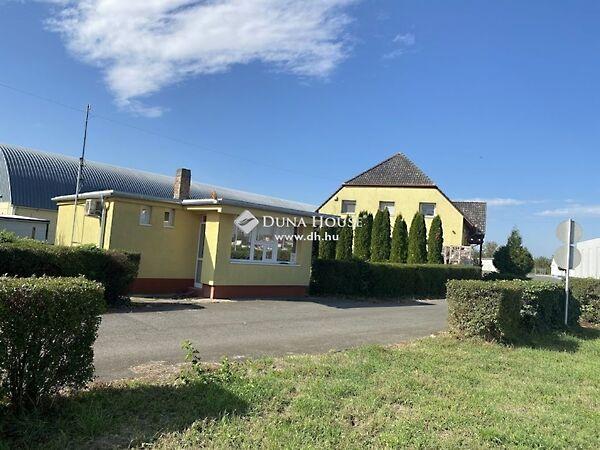 Budapesti, Mohács képe