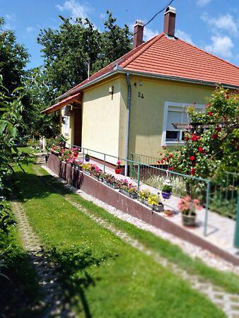 Kehidakustány 2. képe