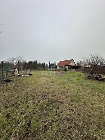 Központhoz, Martonvásár 3. képe