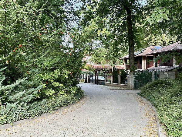 Mátyás király, Fót képe