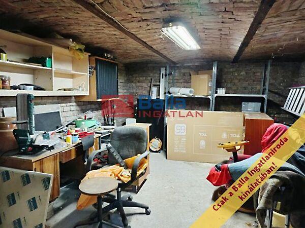 Ady Endre, Budapest, XIX. kerület 2. képe