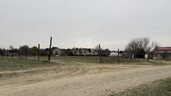 Kaszala Károly, Dunaharaszti képe