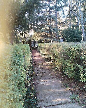 Hidegkúti, Budapest, II. kerület 2. képe