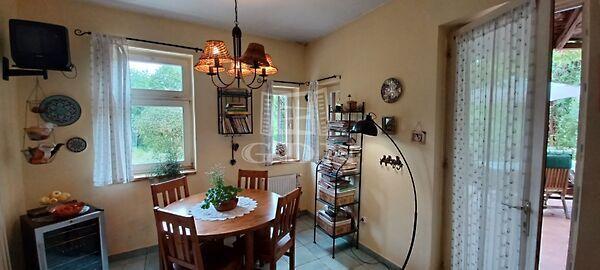 Vasvári Pál, Gödöllő képe