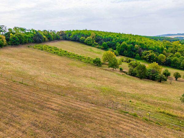 Almásháza 2. képe