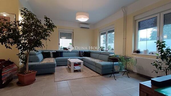 Zsigmond Ferenc, Kecskemét képe