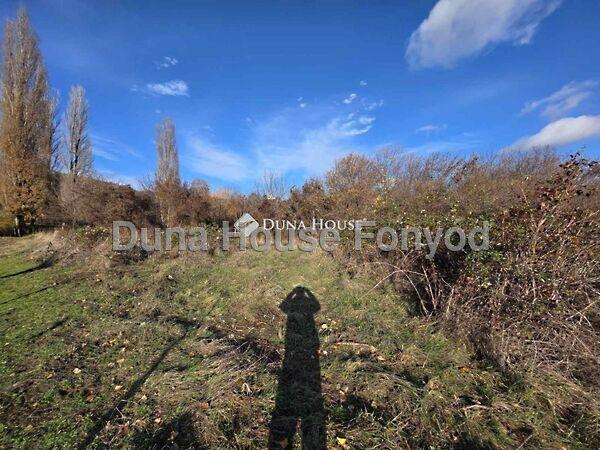 Mecsekkörnyék, Pécsvárad 3. képe