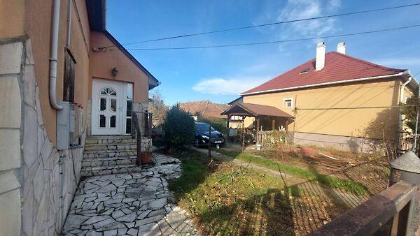 Nyárfa, Székesfehérvár 2. képe