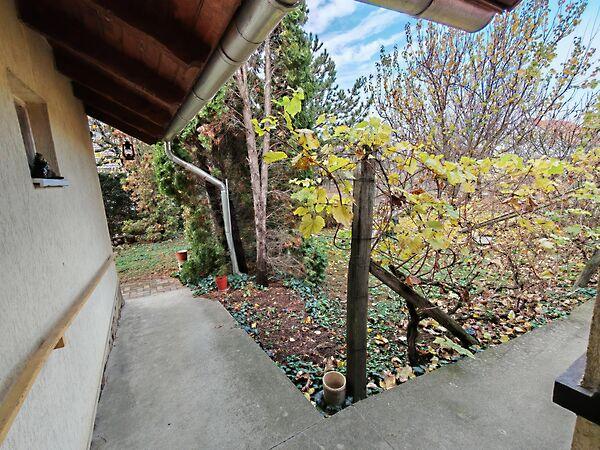 Zocskár, Szeged 2. képe