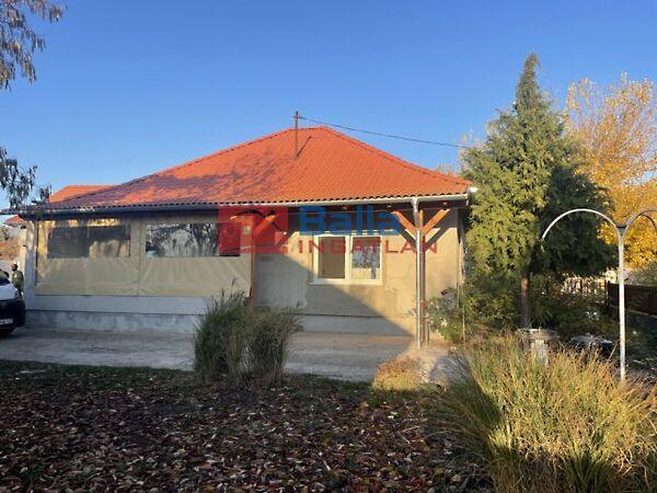 Fejedelem, Besnyő képe