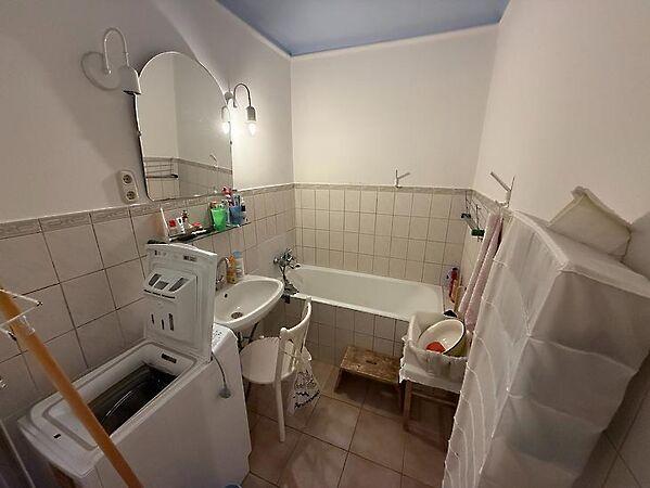 Sólyom, Budapest, XII. kerület 2. képe