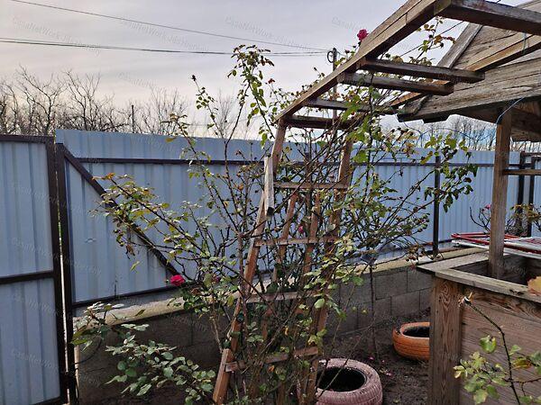 Jászjákóhalma 2. képe