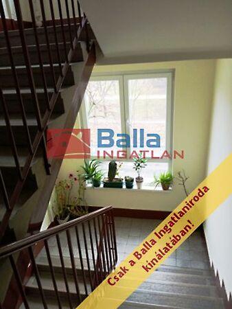 Róna, Budapest, XIV. kerület 2. képe