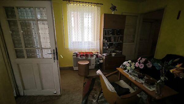 Erdő, Domony 3. képe