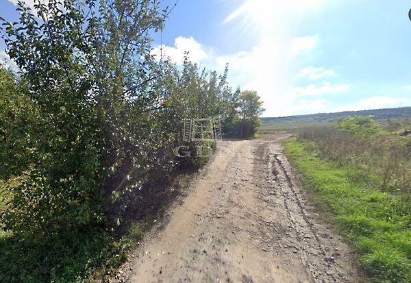 Sport, Domony 2. képe