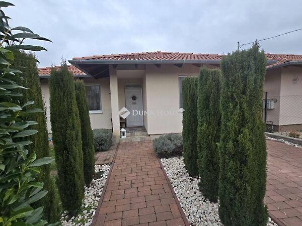 Kandó Kálmán, Halásztelek 3. képe