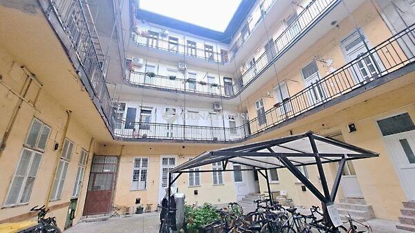 Nefelejcs, Budapest, VII. kerület 3. képe