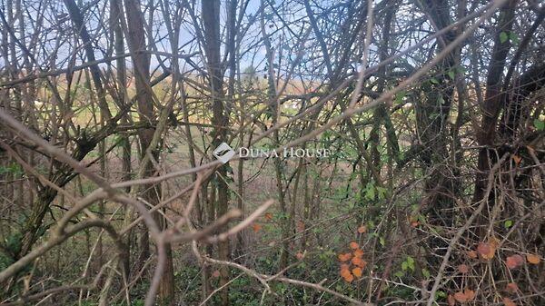 Fő, Velény 3. képe