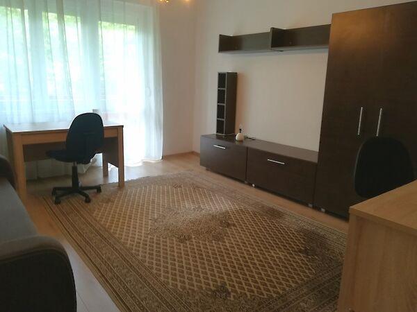 Baksay Sándor, Debrecen 3. képe