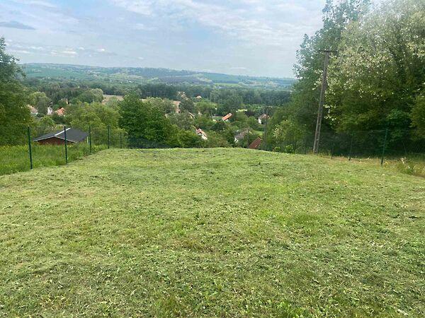 Kehidakustány 2. képe