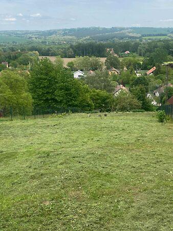 Kehidakustány 3. képe