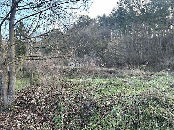 Május 1., Pécs képe