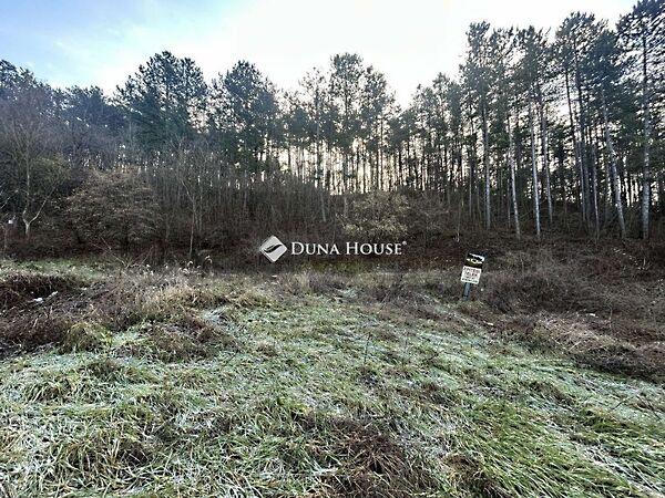 Május 1., Pécs 3. képe