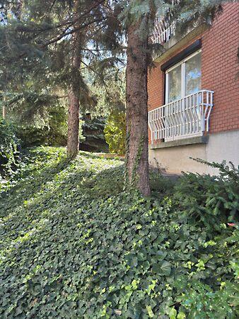 Budapest, II. kerület 3. képe