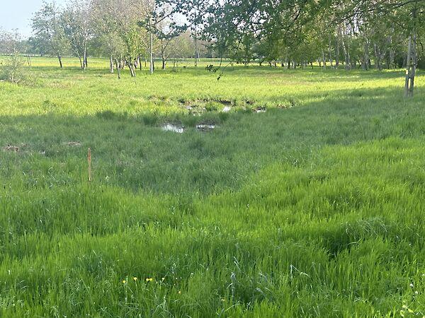 71-es főút, Balatongyörök képe