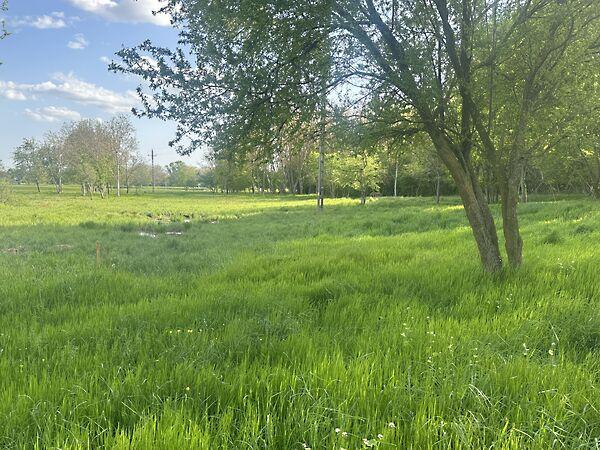 71-es főút, Balatongyörök 2. képe