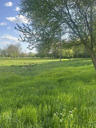 71-es főút, Balatongyörök 3. képe