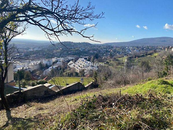 Csortos Gyula, Pécs képe