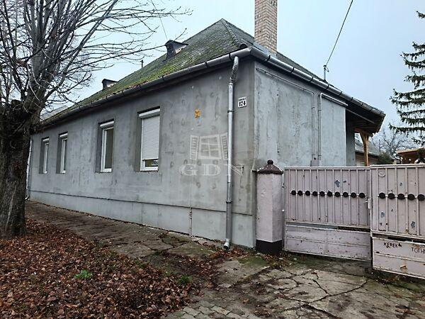 Jókai Mór, Gyöngyössolymos képe