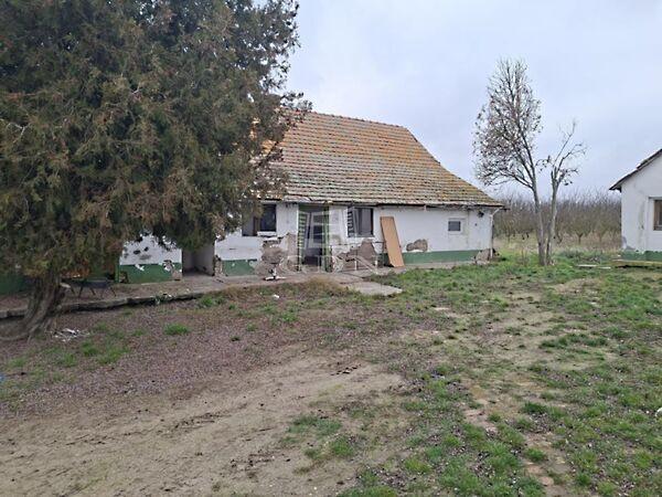 A Zöldért telephely, Kecskemét képe