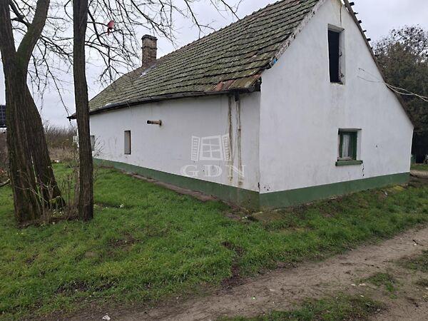 A Zöldért telephely, Kecskemét 3. képe