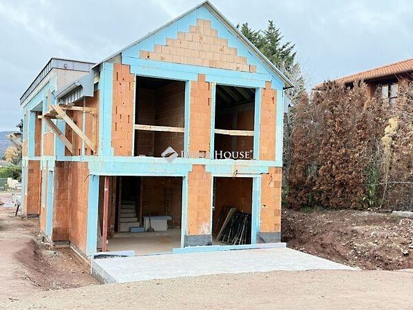 Fácán, Pécs 2. képe