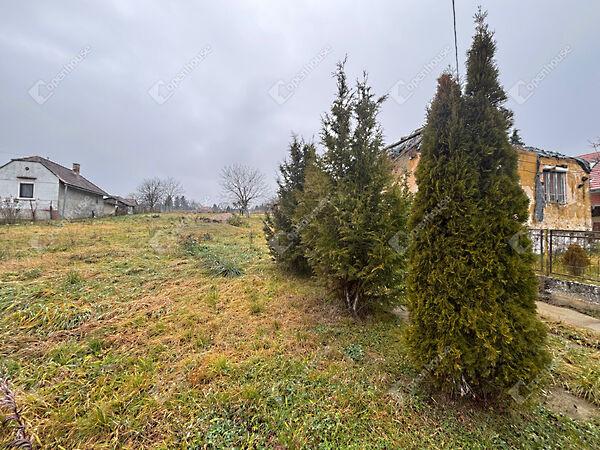 Ady Endre, Szentliszló 3. képe